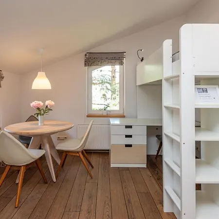 S11 * Паланга