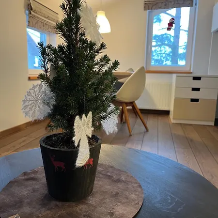 S11 Appartement