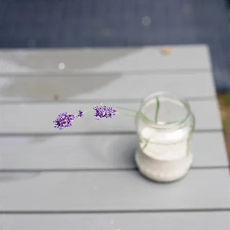 S11公寓 * 帕兰加