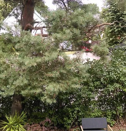 S11 Апартаменты *