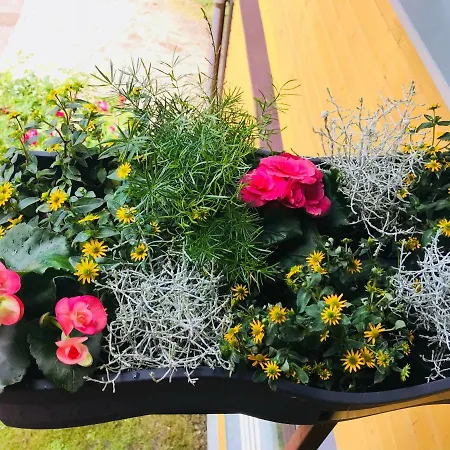 Апартаменты S11 *